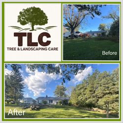 TLC Tree & Landscaping Care - Before log truck comes to get logs