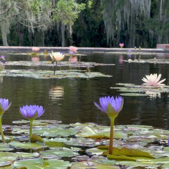 Vision Vacation Victories - Brookegreen Gardens. - Property Management Near Me Vision Vacation Victories - Brookegreen Gardens. - Property Management Near Me