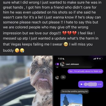 Animal Help Alliance - Have try to make it seem like he wasn't loved which he was yes we are black but we don't play about our character or animals! - Animal Shelters Near Me - Las Vegas, Nevada Animal Help Alliance - Have try to make it seem like he wasn't loved which he was yes we are black but we don't play about our character or animals! - Animal Shelters Near Me - Las Vegas, Nevada