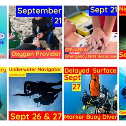 Dive On It Scuba - Dive On It Scuba features upcoming mermaid, oxygen provider, CPR/AED, night diving, search and recovery, underwater navigatio...