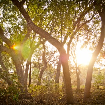 Blue Rock Estate - Butterfly Garden - Venues & Event Spaces Near Me - Dripping Springs, Texas Blue Rock Estate - Butterfly Garden - Venues & Event Spaces Near Me - Dripping Springs, Texas