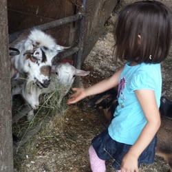 Erin's Farm