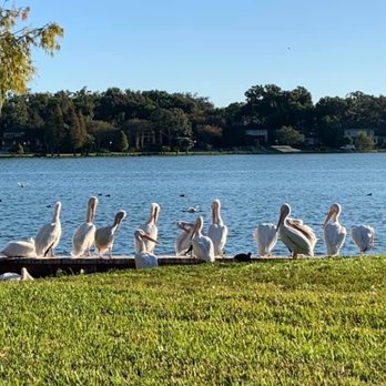 Hollis Garden - Botanical Gardens Near Me - Lakeland, Florida