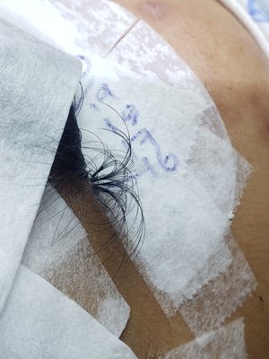 Virtue Lash by null