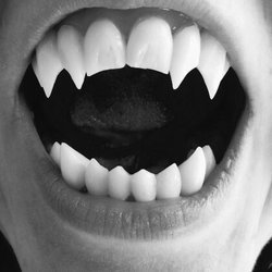 Michael J Velling, DDS