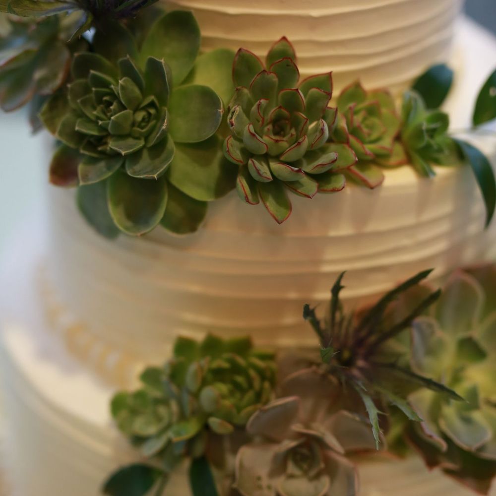 La Conversation - a three tiered wedding cake with succulents - Bakeries Near Me - Los Angeles, California La Conversation - a three tiered wedding cake with succulents - Bakeries Near Me - Los Angeles, California
