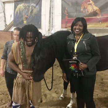 Odysseo By Cavalia - Backstage with the horses - Festivals Near Me - Chicago, Illinois