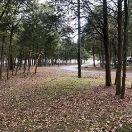 From camp sight! From camp sight!