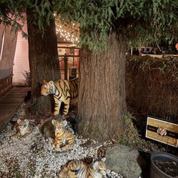 Tiger Mama - Outside