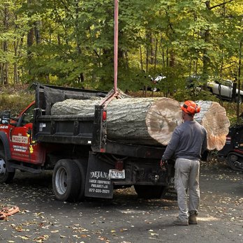 The Wood Guy - Tree Services Near Me - Clinton, Ohio The Wood Guy - Tree Services Near Me - Clinton, Ohio