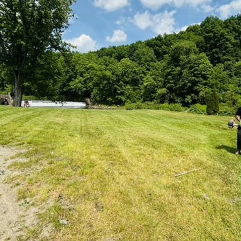 Wilder Services - Junk Removal & Hauling Near Me - Bruceton mills, wv., West Virginia Wilder Services - Junk Removal & Hauling Near Me - Bruceton mills, wv., West Virginia