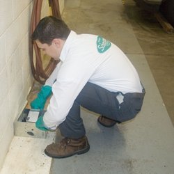 SCHERZINGER PEST CONTROL - 17 Photos & 23 Reviews - 10557 Medallion Dr ...
