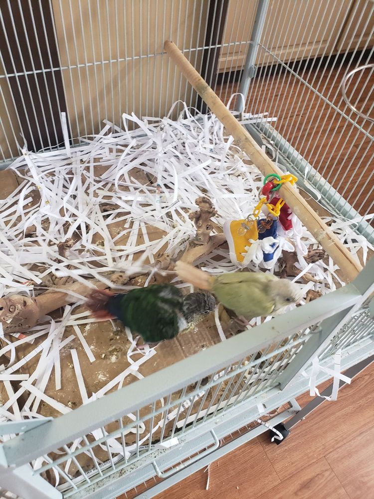PETLAND ROME Updated July 2025 15 Reviews 1600 Turner Mccall Blvd