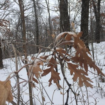 Maplewood Nature Center - Parks Near Me - Maplewood, Minnesota Maplewood Nature Center - Parks Near Me - Maplewood, Minnesota
