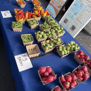 Boca Farmers Market - Farmers Market Near Me - Boca Raton, Florida Boca Farmers Market - Farmers Market Near Me - Boca Raton, Florida
