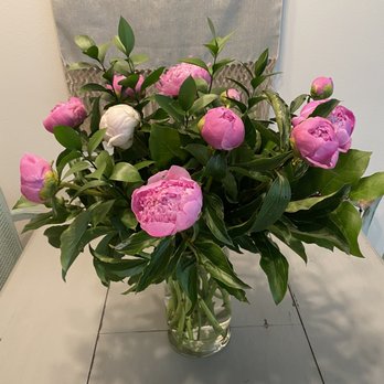 Devynn's Garden - Beautiful new peonies - Florists Near Me - Huntington Beach, California