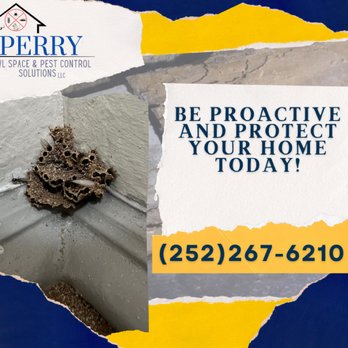 Perry Crawl Space & Pest Control Solutions - Pest Control Near Me Perry Crawl Space & Pest Control Solutions - Pest Control Near Me