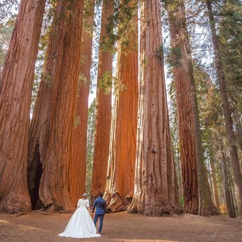 Christina Joy Photography - Sequoia National Park - Event Photography Near Me - Visalia, California Christina Joy Photography - Sequoia National Park - Event Photography Near Me - Visalia, California