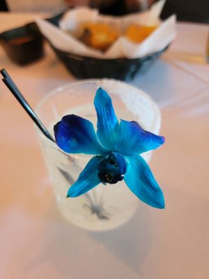 IXCHEL Mexican Cuisine by null