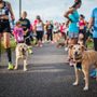 Photo of The Humane Society of Bay County