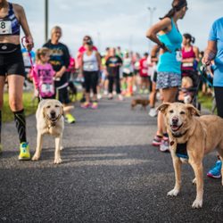 The Humane Society of Bay County - Furry Friend 5K Run/Walk - Annually in April