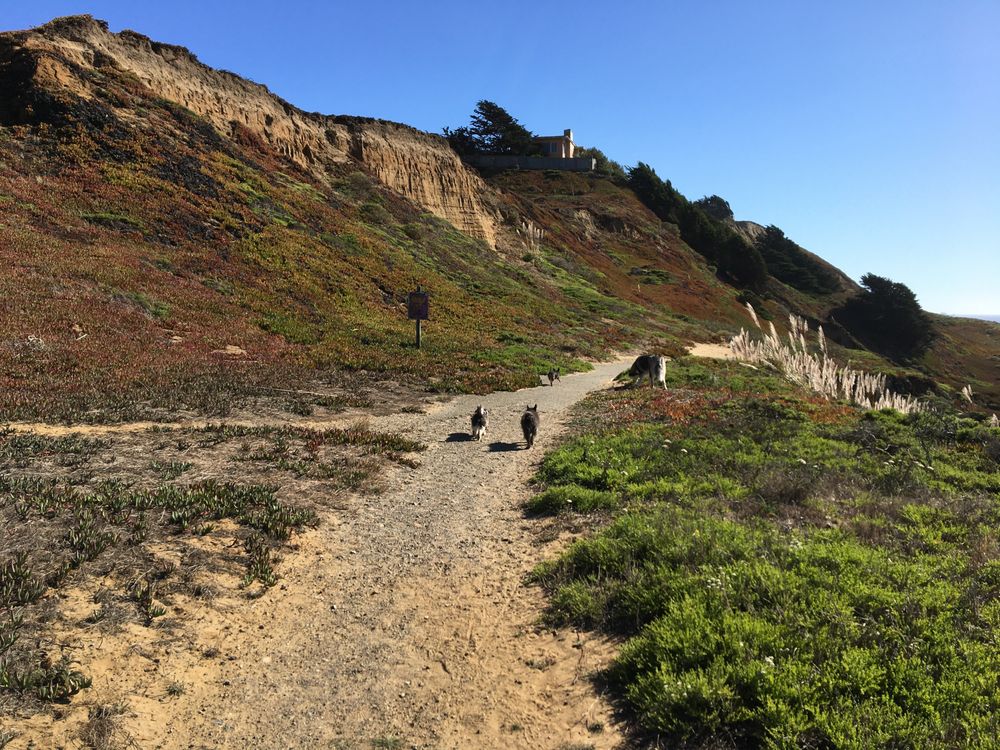 K9 Adventure Time - pet boarding facility in San Francisco, CA