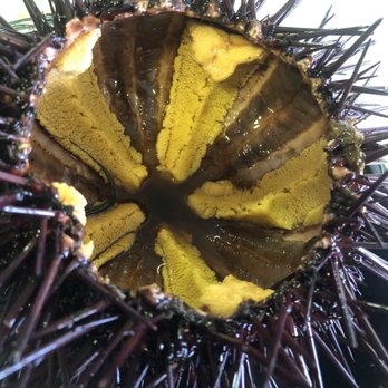 Quality Seafood - Fresh uni - Seafood Markets Near Me - Redondo Beach, California Quality Seafood - Fresh uni - Seafood Markets Near Me - Redondo Beach, California