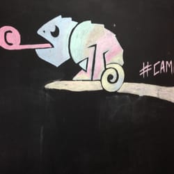 Camaleó Creative  Marketing