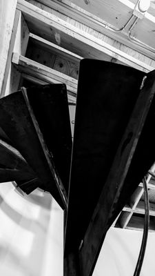 Abbot Kinney Blvd by null