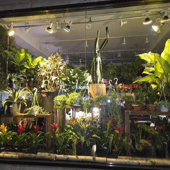 Flowers by Philip - Florists Near Me - New York, New York Flowers by Philip - Florists Near Me - New York, New York