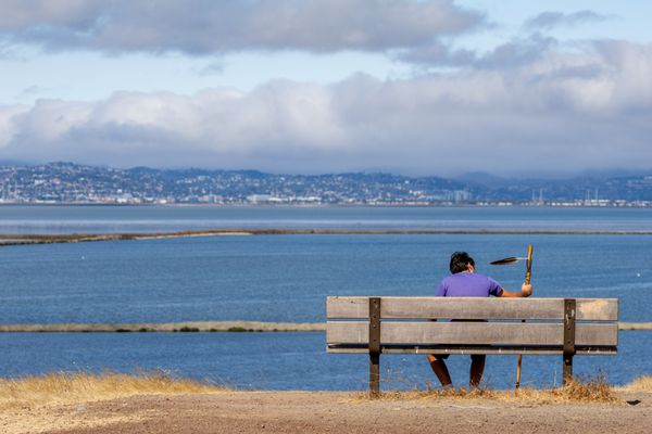Coyote Hills Regional Park by null