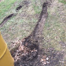 Zerorez van got stuck on my lawn. I used my 4wheel truck and tow rope to pull it out. I still have these ruts in my lawn Zerorez van got stuck on my lawn. I used my 4wheel truck and tow rope to pull it out. I still have these ruts in my lawn