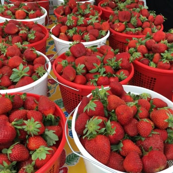 Smith's Nursery - Western Wake Farmer's Market - Nurseries & Gardening Near Me - Benson, North Carolina