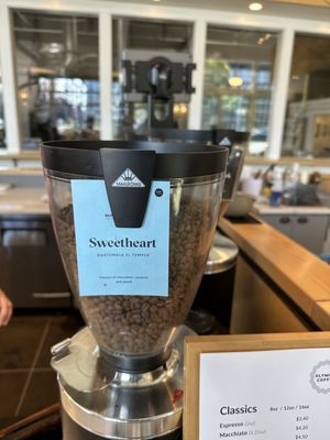 Olympia Coffee Roasting by null