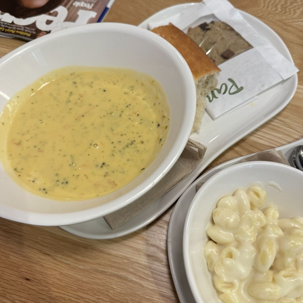 Panera Bread - Broccoli Cheddar Soup + chocolate chip cookie - Sandwiches Near Me - Framingham, Massachusetts