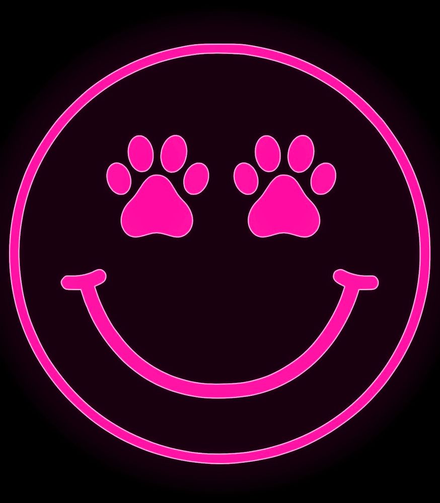 Happydogz - pet boarding facility in San Francisco, CA