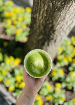 Safta’s Coffee & Fine Foods by null