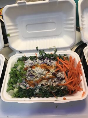 Native Bowl by null