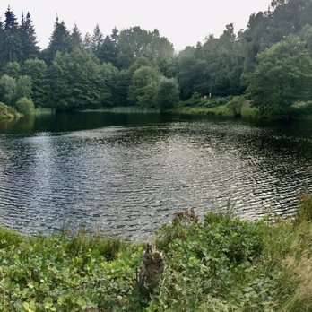 Bourley and Long Valley - Small Lake in Bourley and Long Valley Site of Special Scientific Interest - Hiking Near Me - Fleet, HAM