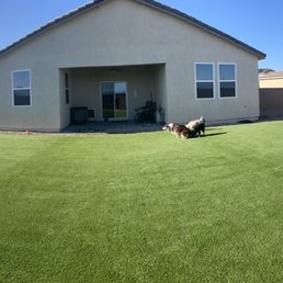 The whole yard panorama The whole yard panorama