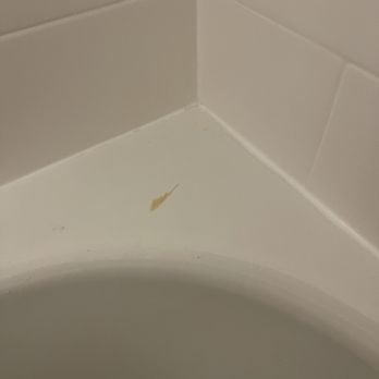 Hampton Inn Salisbury - Something left in the shower - Hotels Near Me - Salisbury, Maryland