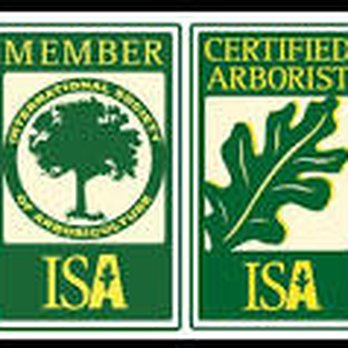 Tip Top Tree Service - Tree Services Near Me - Victoria, British Columbia Tip Top Tree Service - Tree Services Near Me - Victoria, British Columbia