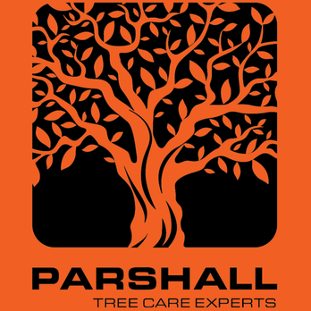 Parshall Tree Care Experts - Tree Services Near Me - Traverse City, Michigan Parshall Tree Care Experts - Tree Services Near Me - Traverse City, Michigan