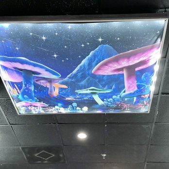 Hollywood Boba - Ceiling art - Bubble Tea Near Me - Hollywood, Florida