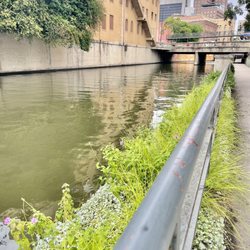 Nueva Street Dam and Marina
