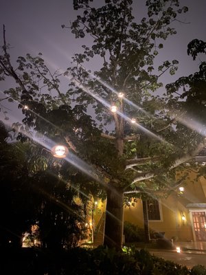 Hacienda Xcanatun, Angsana Heritage Collection by null
