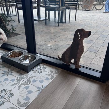 Ever After Tearoom & Eatery - Dog friendly spot our pup loved the kibble - Shaved Ice Near Me - Irvine, California