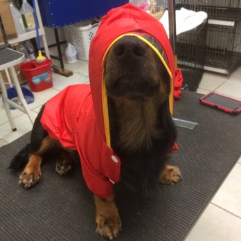 Pet Epoque Grooming - Pet Groomers Near Me - Miami, Florida Pet Epoque Grooming - Pet Groomers Near Me - Miami, Florida