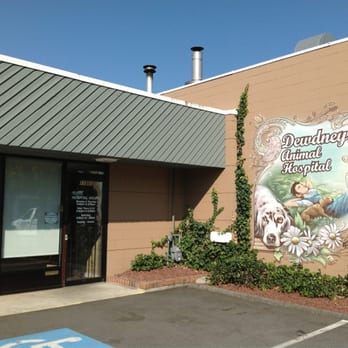 Dewdney Animal Hospital - Dewdney Animal Hospital - Veterinarians Near Me - Maple Ridge, British Columbia Dewdney Animal Hospital - Dewdney Animal Hospital - Veterinarians Near Me - Maple Ridge, British Columbia