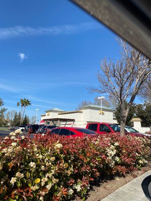 In-N-Out Burger by null